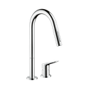 Hansgrohe 34813001 2-Hole Single-Handle Kitchen Faucet 2-Spray Pull-Down 1.5 G