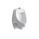 Kohler 5016-ET-0 Dexter Elongated Urinal With Top Spud 3