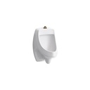 Kohler 5452-ET-0 Dexter Washdown Wall-Mount 0.125 Gpf Urinal With Top Spud 1