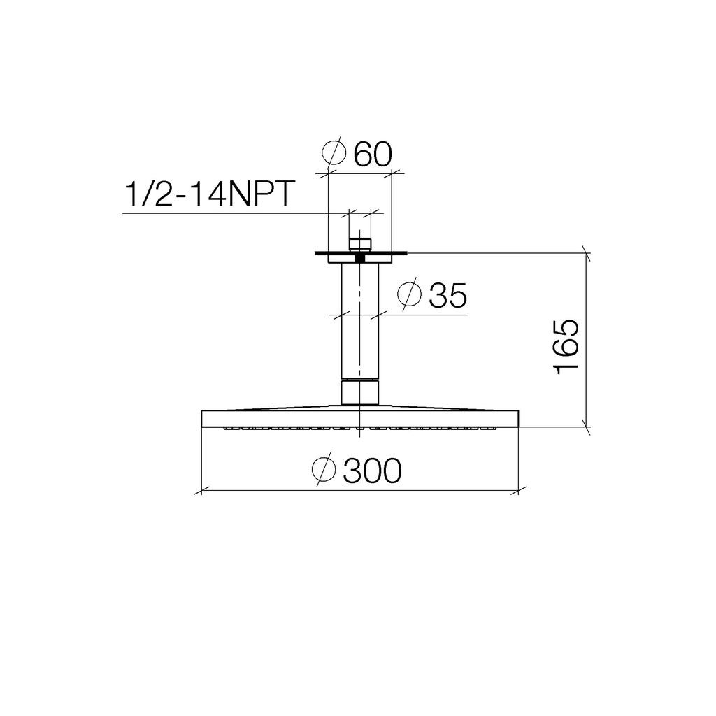 Dornbracht 28689970 Vaia Rainshower Ceiling Mounted Platinum 2