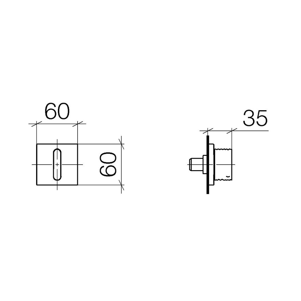 Dornbracht 36311705 Cl.1 Wall Valve Platinum Matte 2