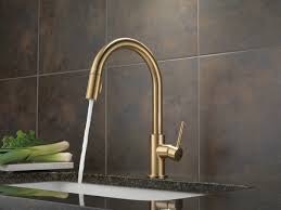 Delta 9159 Trinsic Single Handle Pull Down Kitchen Faucet Champagne Bronze 2