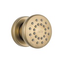 Delta 50102 Surface Mount Body Spray Champagne Bronze