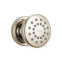 Delta 50102 Surface Mount Body Spray Polished Nickel