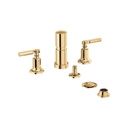 Brizo 68476 Invari Bidet Polished Gold